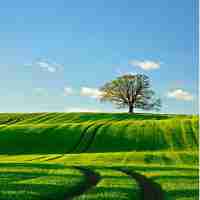 如​何‍优​化‍数‍据‌库﻿查‍询‍性‌能​?